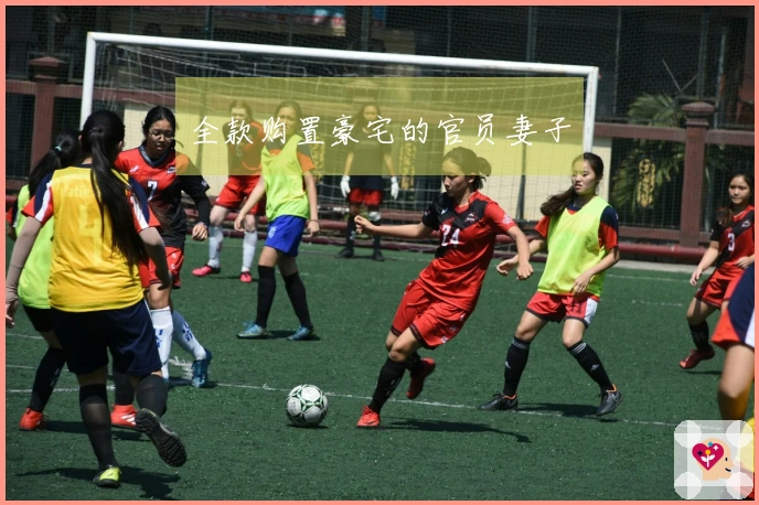 全款购置豪宅的官员妻子