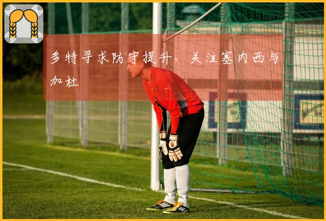 多特寻求防守提升，关注塞内西与加杜