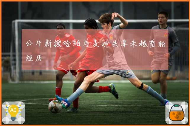 公牛新援哈珀与麦迪共享未越首轮经历