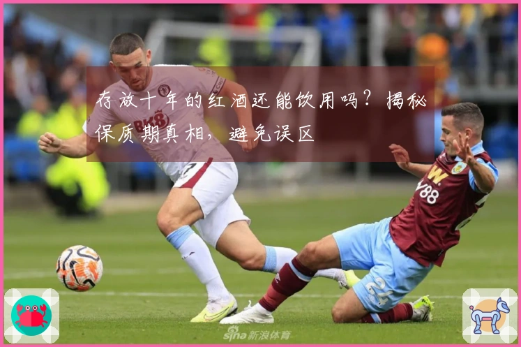 存放十年的红酒还能饮用吗？揭秘保质期真相，避免误区