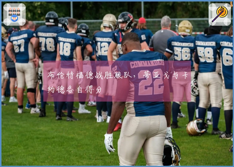 布伦特福德战胜狼队，蒂亚戈与卡约德各自得分