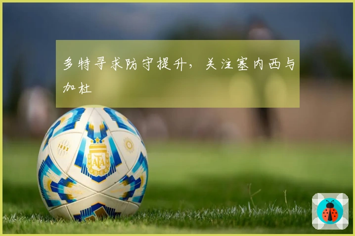 多特寻求防守提升，关注塞内西与加杜